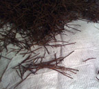 Scrap/Board